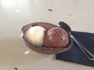 A scoop of Toasted Coconut and a scoop of Valrhona Chocolate.
